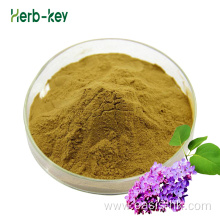 wholesale Clove extract contains eugenol